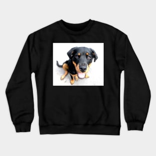 Bella Bella Crewneck Sweatshirt